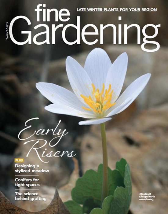 Fine Gardening magazine.