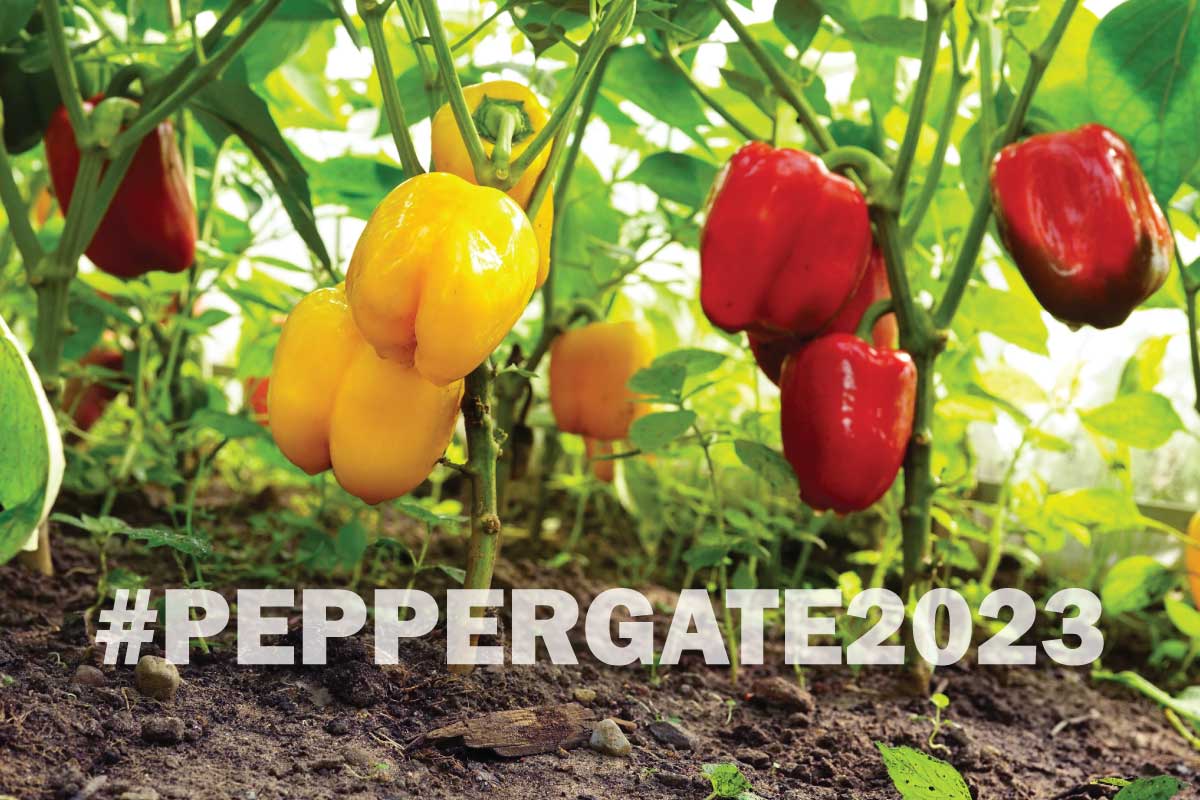 #Peppergate2023.